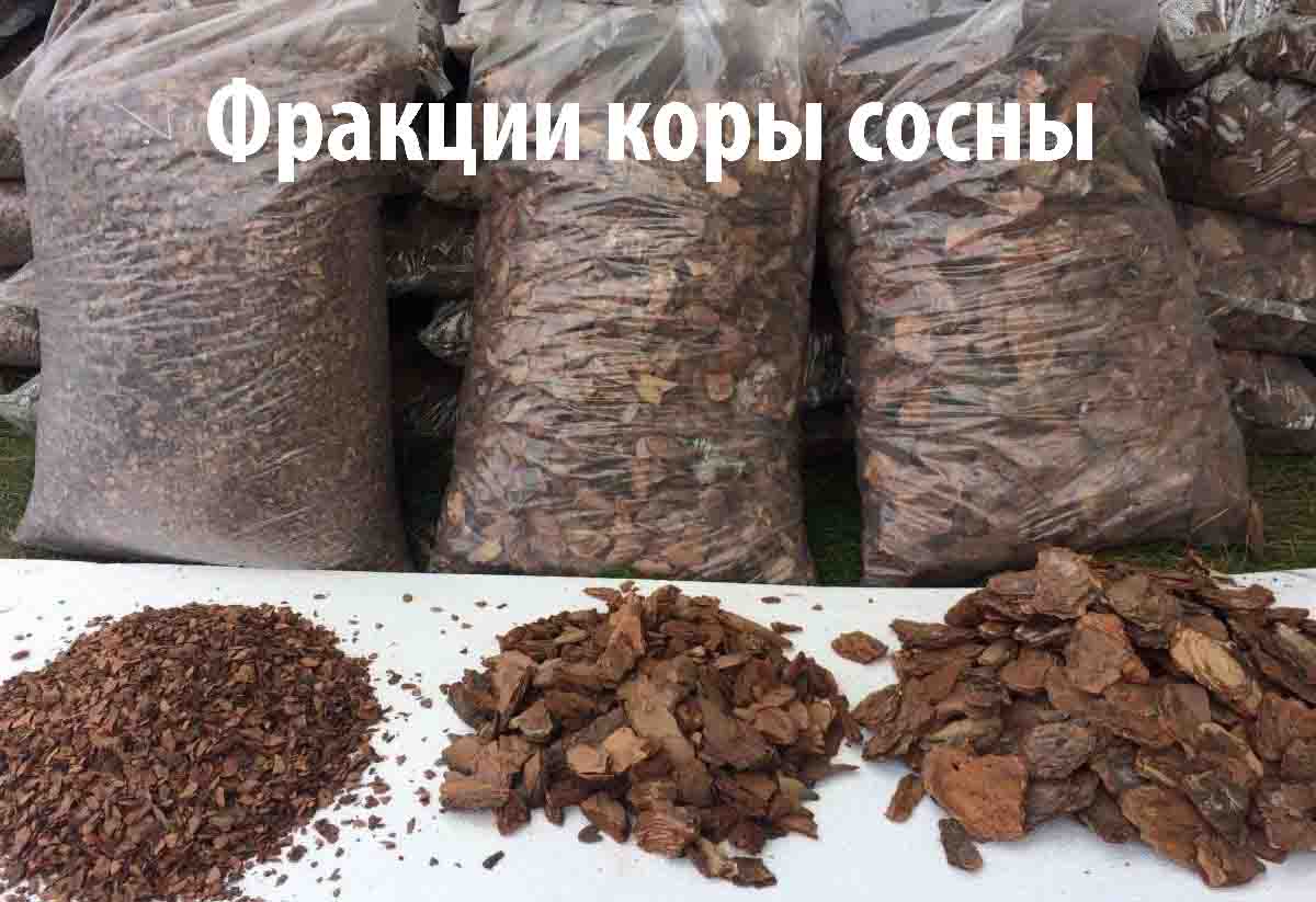 мульча из коры сосны